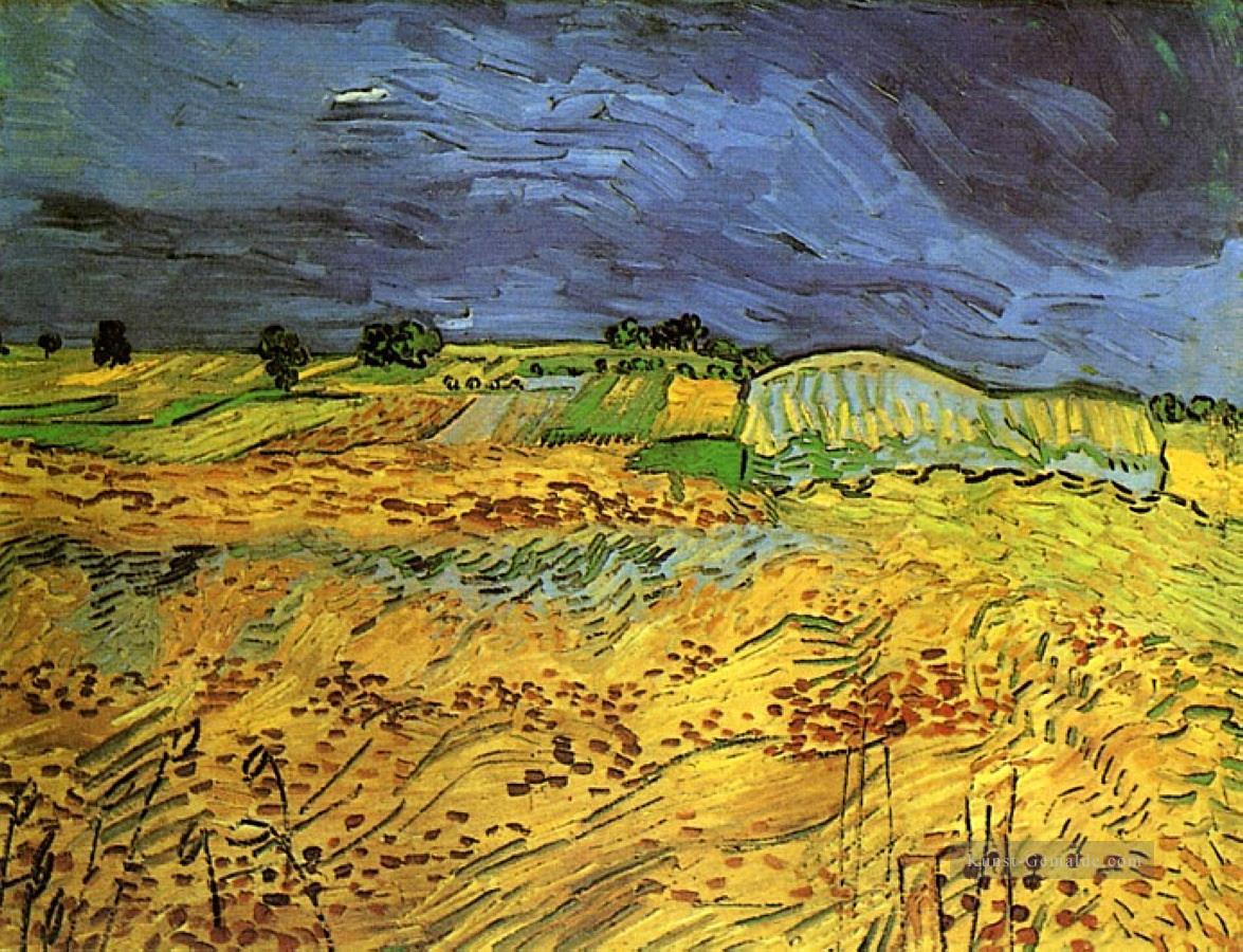 Die Felder Vincent van Gogh Ölgemälde